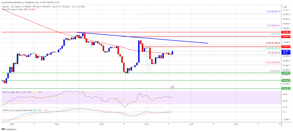 O preço do Bitcoin se estabiliza após perdas: os touros podem superar a resistência para uma recuperação?