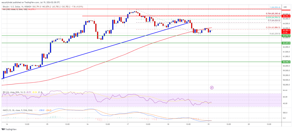 El precio de Bitcoin da pistas a la baja: preparándose para posibles caídas