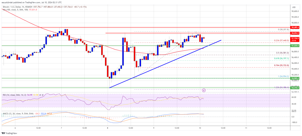 ビットコイン価格の回復目標：6万ドルのマークを超えるか？