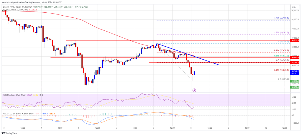 La tendencia a la baja del precio de Bitcoin continúa: prepárense para más pérdidas