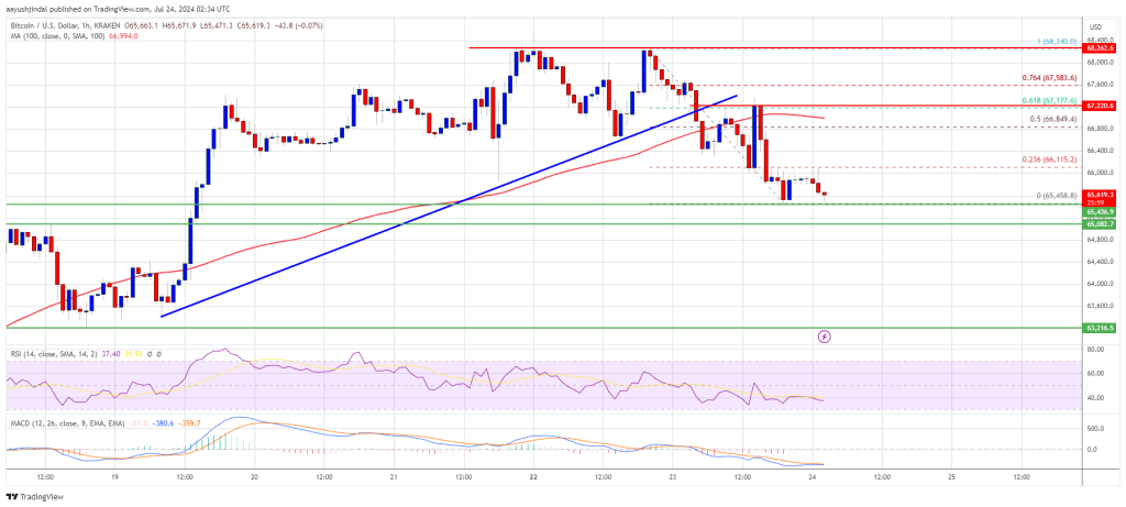 ビットコイン価格の下落：これは新たな下落の始まりか？