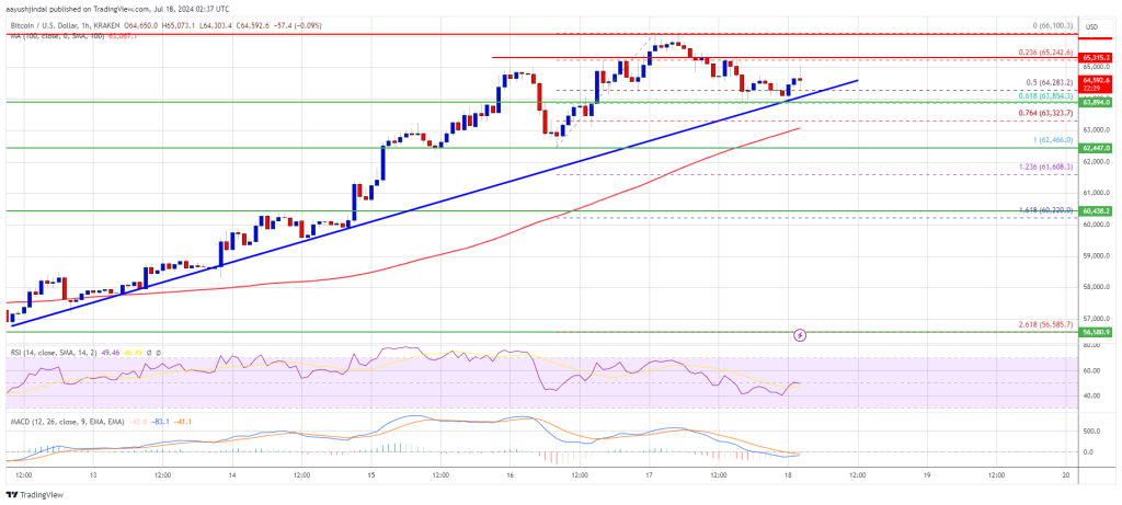 Bitcoin Price Steadies: What Are the Chances of Another Rise?