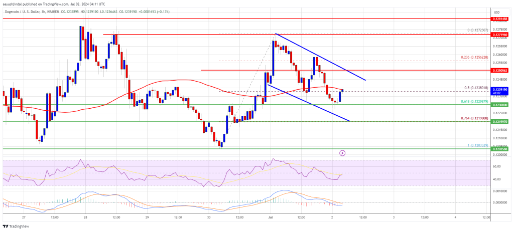 Dogecoin’s Potential: Can DOGE Price Kick Off a New Climb?