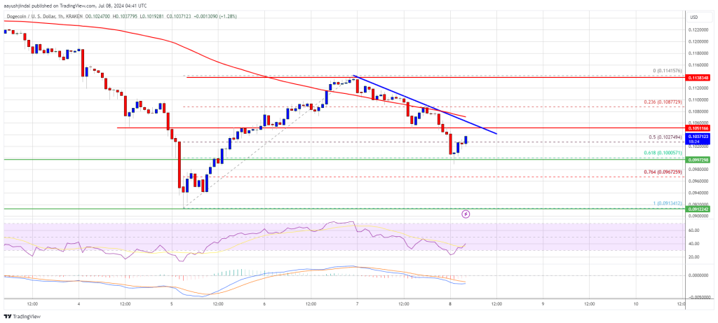 Dogecoin Price Recovery May Stall: Resistance Levels to Watch