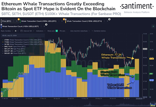 Las ballenas Ethereum acumulan rápidamente ETH en medio de la caída de precios