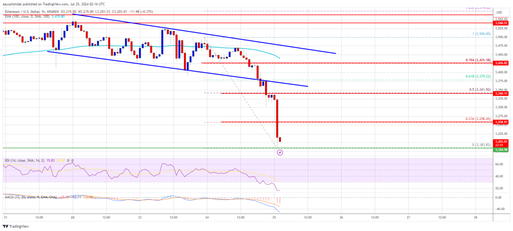 Цена на Ethereum упала на 8%: что будет дальше с гигантом альткойнов?