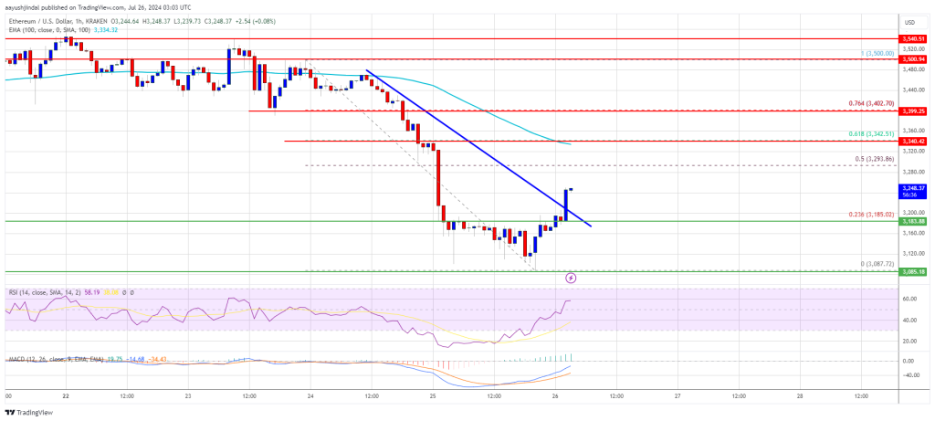 Ethereum strebt Erholung an: Kann es die Leistung von Bitcoin widerspiegeln?