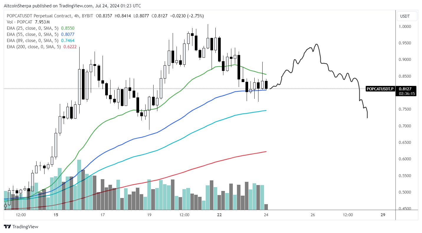 Analyst Warns Of A POPCAT Correction Following 230% Surge