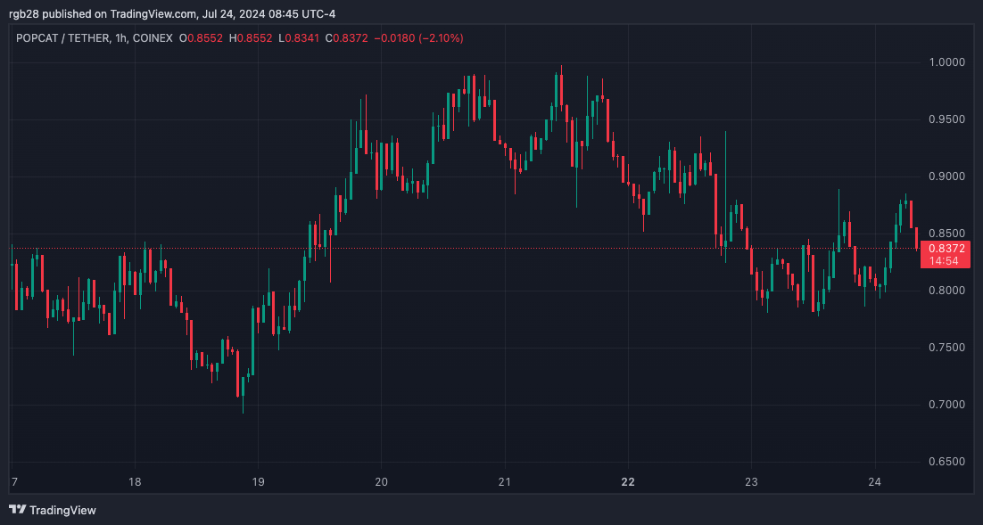 Analyst Warns Of A POPCAT Correction Following 230% Surge