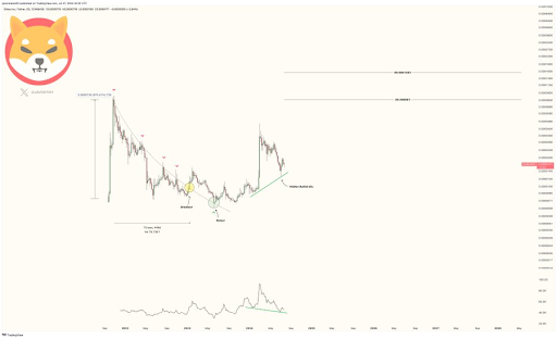 Das NVT-Verhältnis von Shiba Inu verzeichnet einen drastischen Anstieg. Ist ein Anstieg auf 0,00003 USD noch möglich?