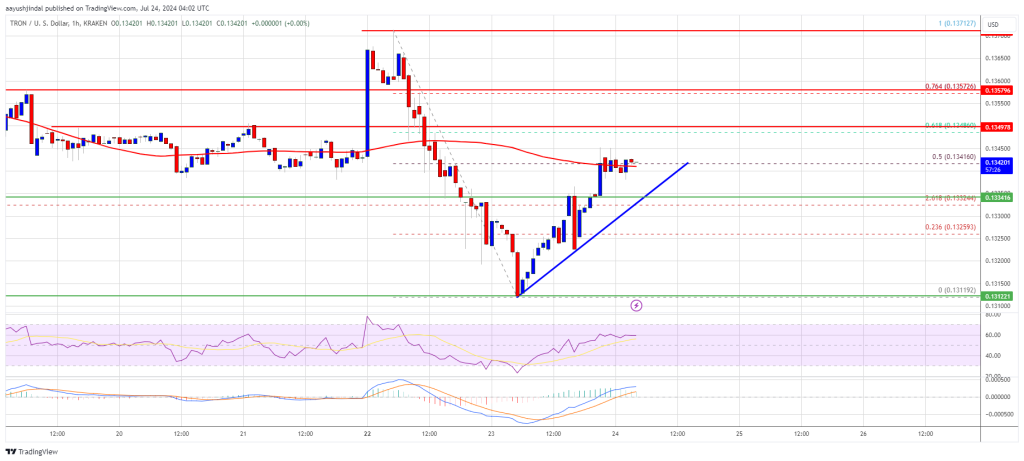 Tron Price (TRX) Targets New Gains: Is Another Increase Coming?