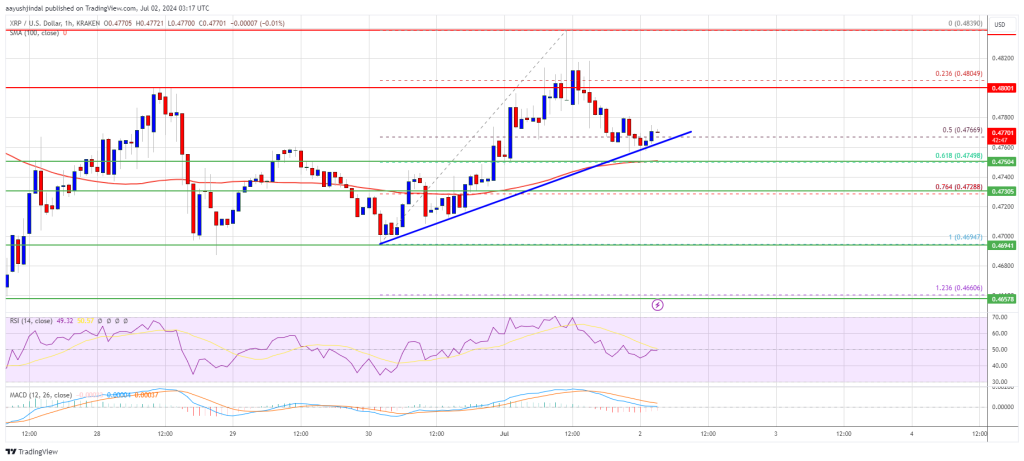 O preço do XRP mantém o nível de suporte: o que isso significa para os touros