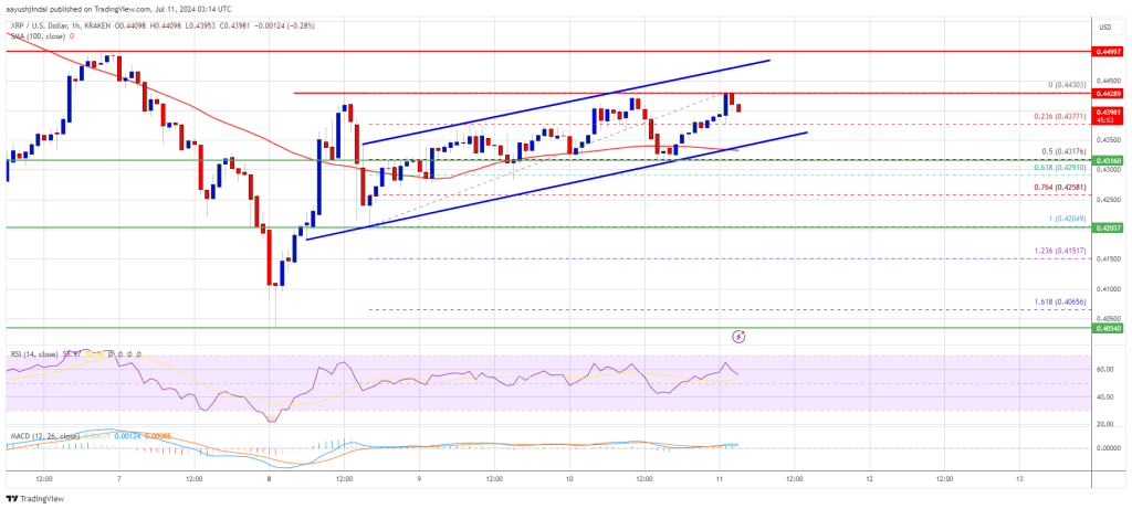 El precio de XRP está preparado para un camino alcista a menos que este soporte allane el camino