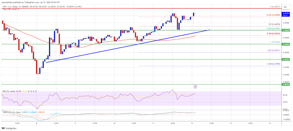 El precio de XRP muestra una mayor fortaleza: ¿puede sostener la recuperación?