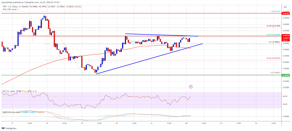 El precio de XRP apunta a una ruptura al alza: ¿Seguirán aumentando las ganancias?