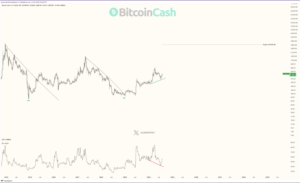 Can Bitcoin Cash (BCH) Go Up 680% This Week? This Analyst Believes So