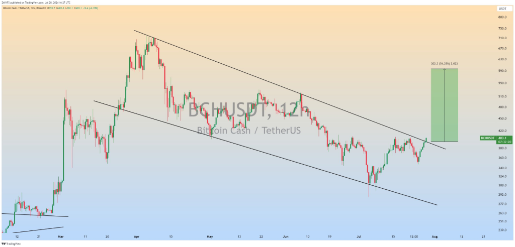 Bitcoin Cash (BCH) lidera el mercado de altcoins con una sólida ganancia del 16%: este es el motivo