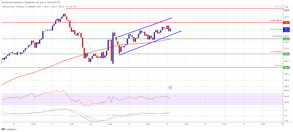 BNB Price Back on Track: Can It Break 5 to Move Higher?