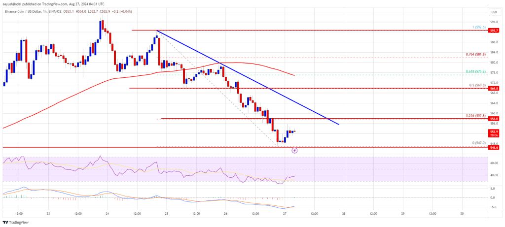 El precio de BNB enfrenta desafíos: ¿mantendrá $ 550 y se recuperará?