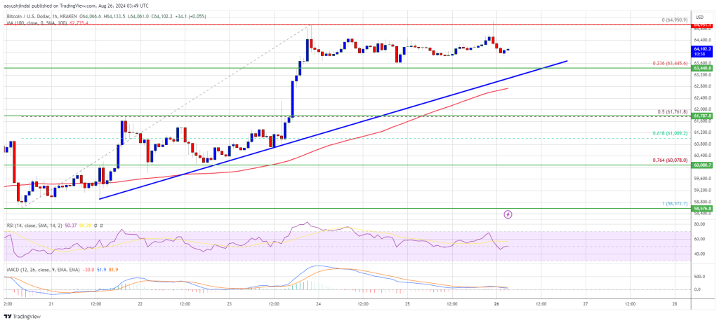 Der Bitcoin-Preis steht bei 65.000 US-Dollar vor einer Herausforderung: Kann er den Durchbruch schaffen?