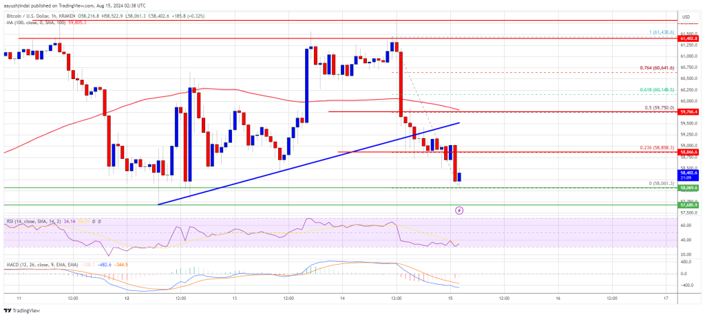 Soporte de las pruebas de precios de Bitcoin: ¿Se recuperará con más fuerza?