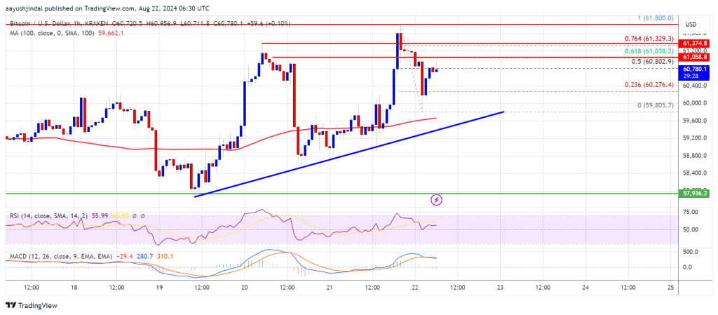 ビットコイン価格は着実な上昇を目指す：緩やかな上昇はこれから？