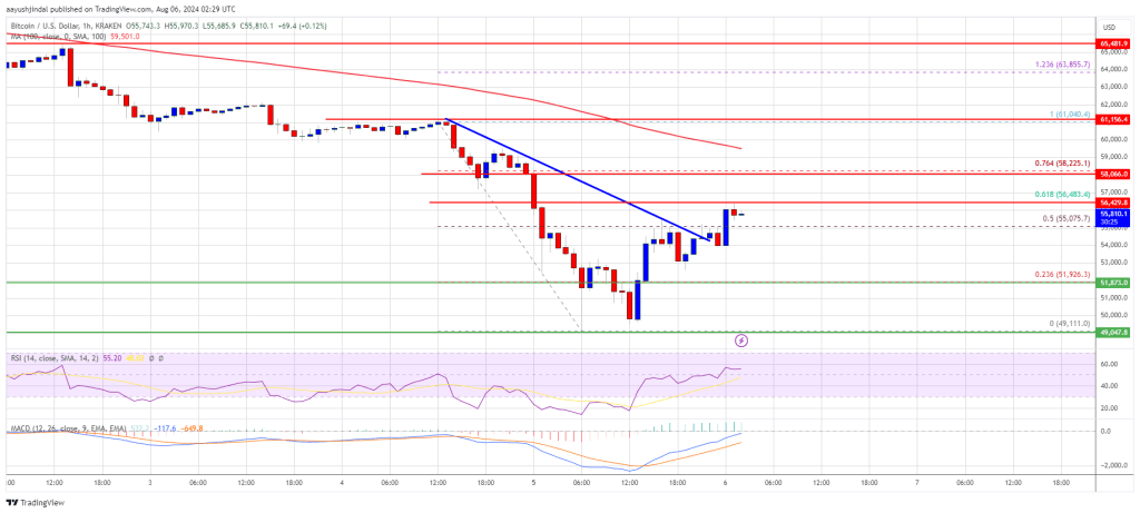 Bitcoin Price Bounce Back: Could the Recovery Lose Momentum?