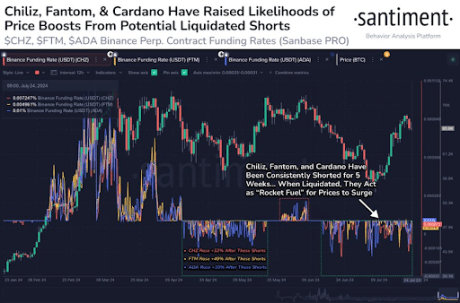 Cardano 2