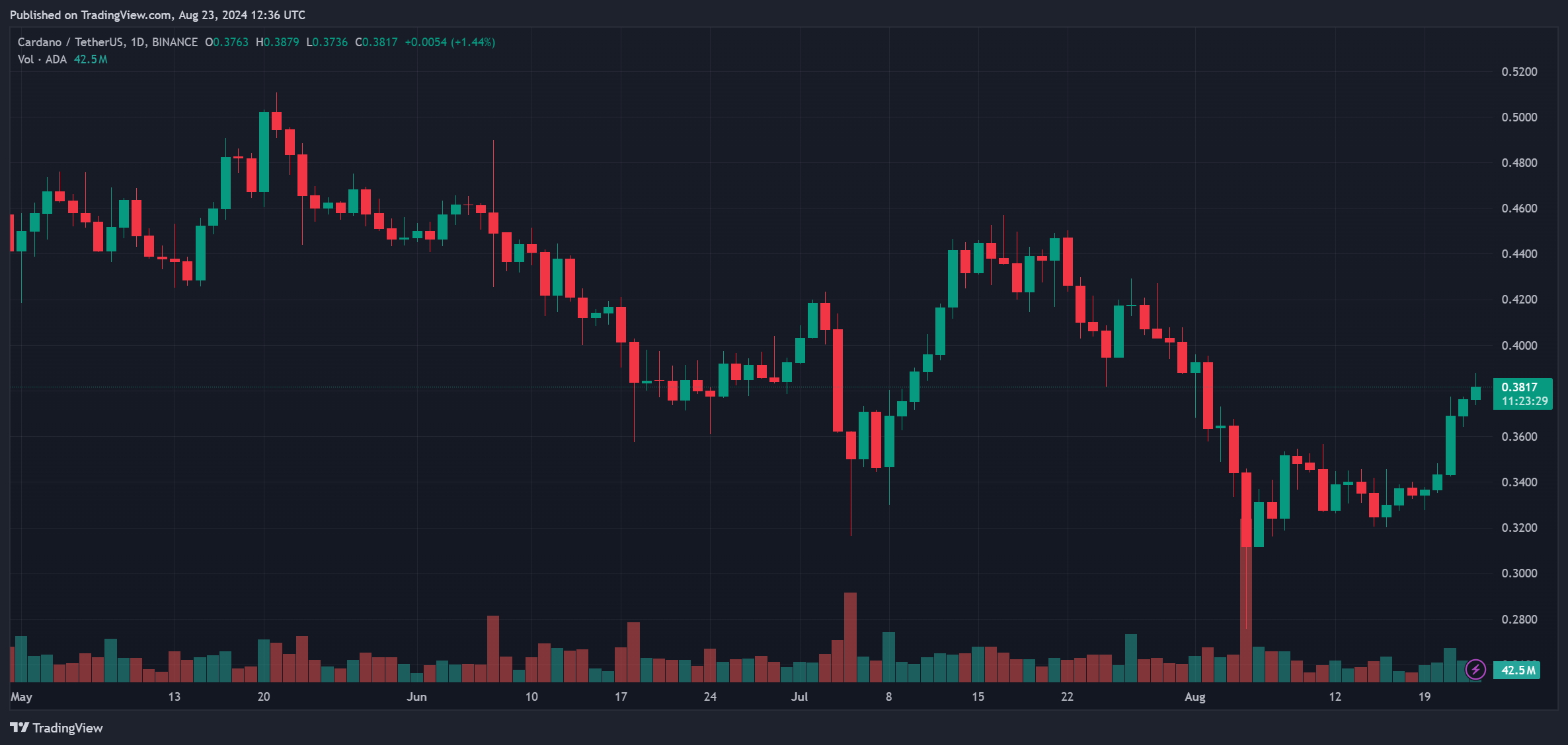 Инвесторы Cardano отреагировали на рост цен ADA на 14% до $0,37