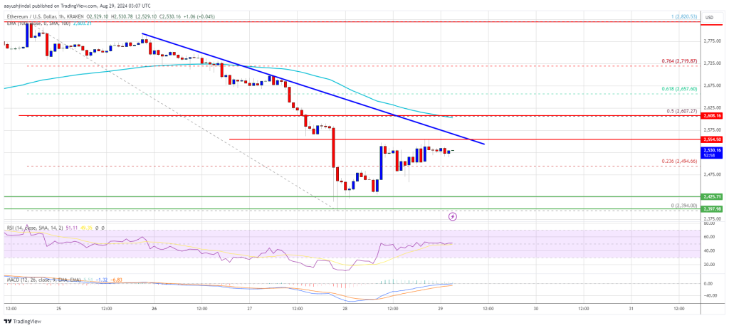 Ethereum-Preis deutet auf Erholung hin: Ist ein Comeback in Sicht?