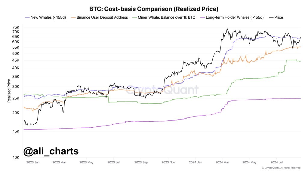 Bitcoin support levels to watch | Source: @ali_charts via X