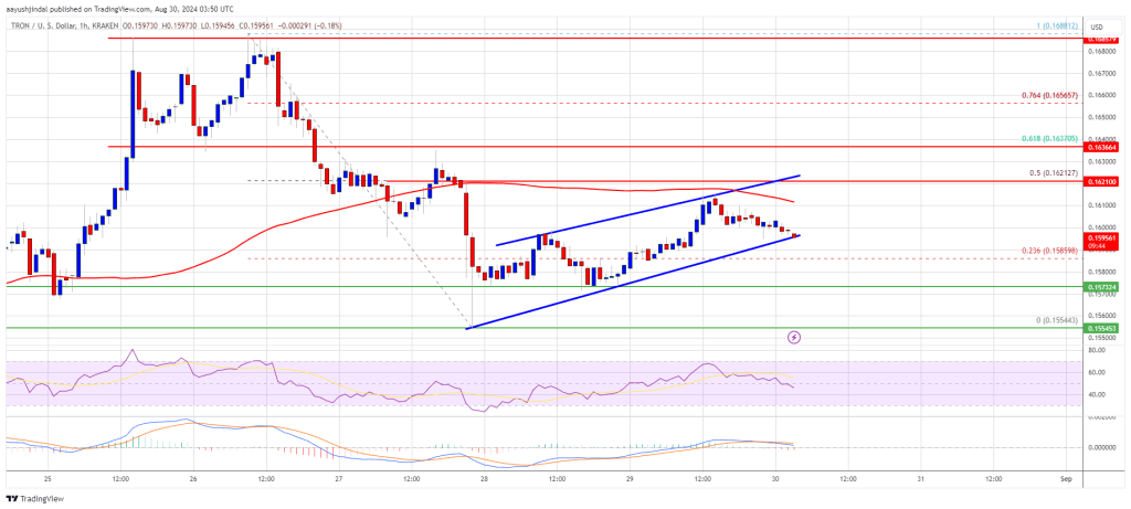 Tron Price sobrevive à tempestade: o TRX pode subir ainda mais??