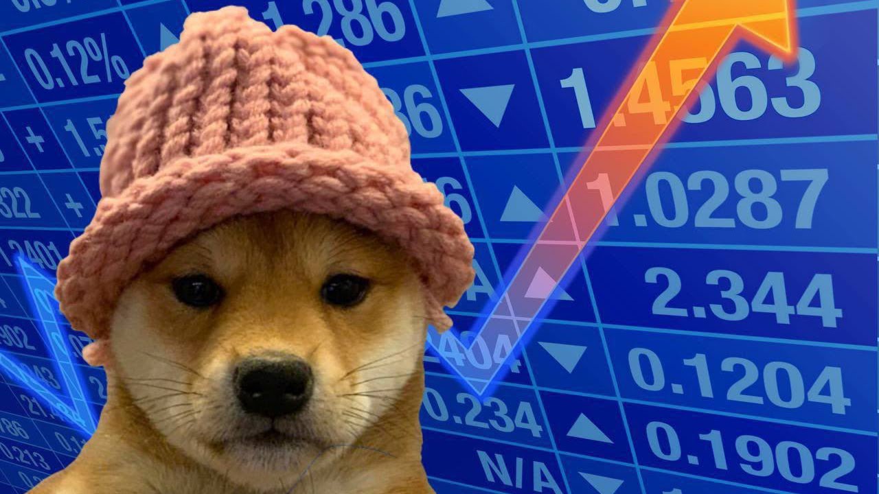 Dogwifhat On The Edge: Can WIF Hold Above $1.47 As Bears Close In?