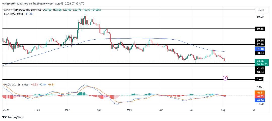 AVAX On Thin Ice: $21.73 Support Under Siege – What’s Next?