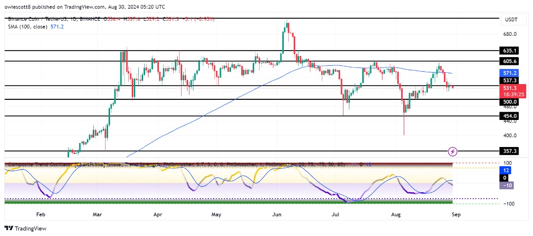 BNB lucha contra la persistente presión bajista, ¿serán los $ 500 la próxima parada?