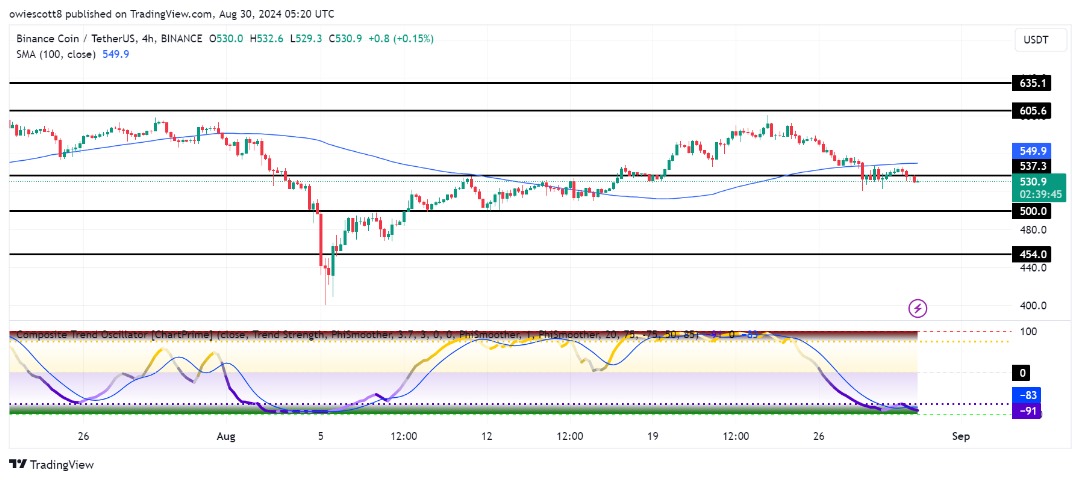 BNB lucha contra la persistente presión bajista, ¿serán los $ 500 la próxima parada?