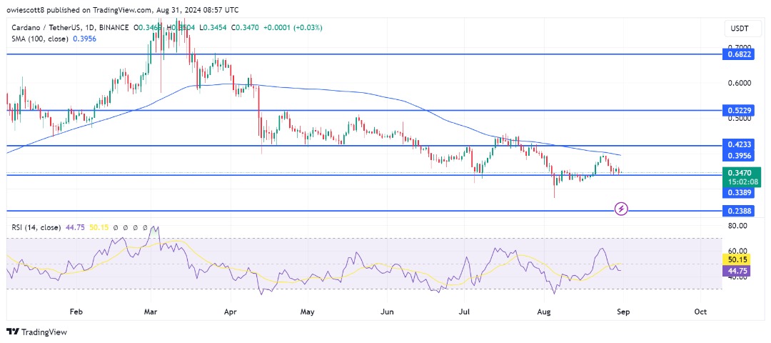 岐路に立つADA：0.3389ドルのサポートに接近、さらに下落する可能性あり
