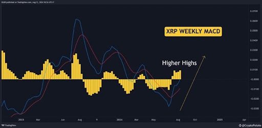 Un analista dice que el precio de XRP aumentará un 10,400% a $60, aquí es cuando