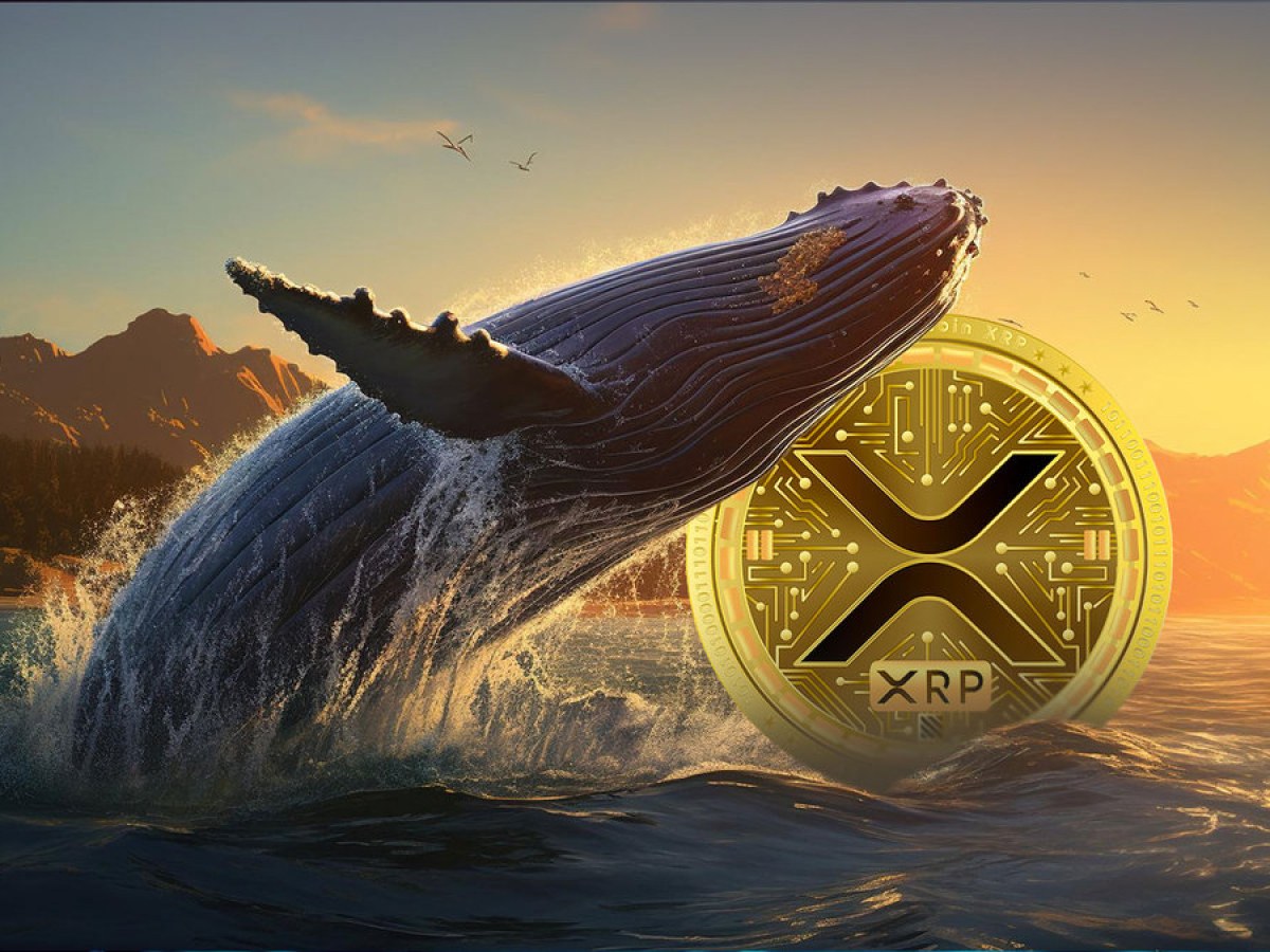 XRP Whales Take Advantage Of 20% Drop To Buy Millions Worth Of Tokens