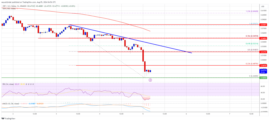 O preço do XRP cai abaixo de US$ 0,50: principais conclusões para o mercado