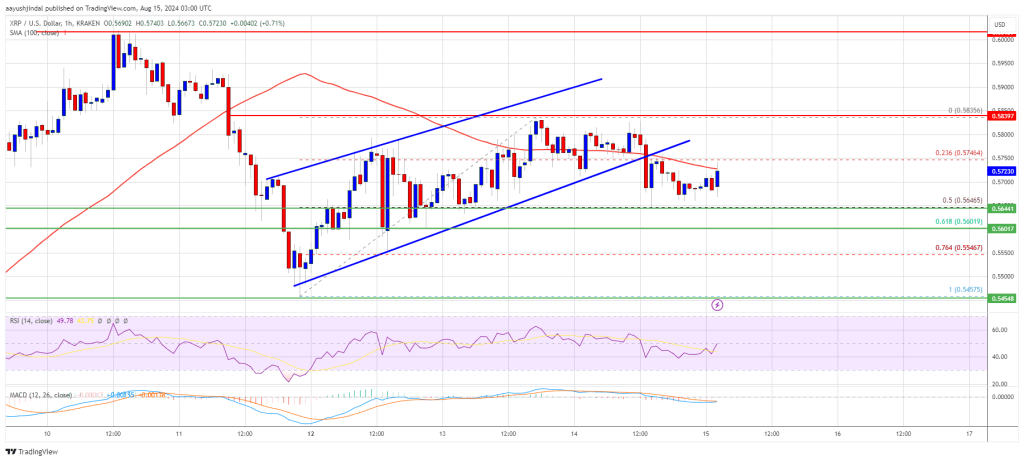 Preço do XRP no limite: ele pode sobreviver e começar de novo?