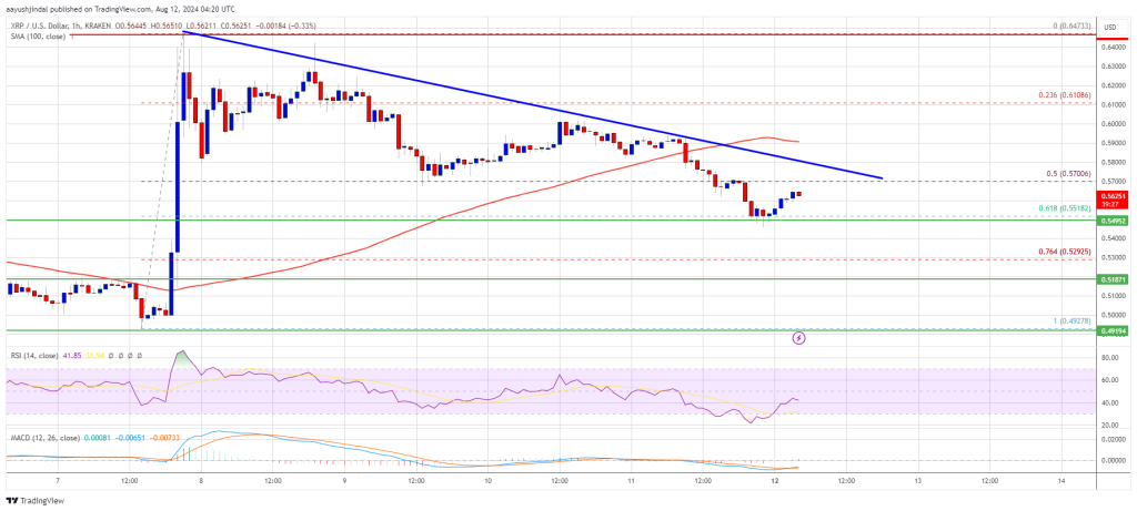 XRP-Preis erreicht Unterstützung: Wird dies eine Trendwende auslösen?