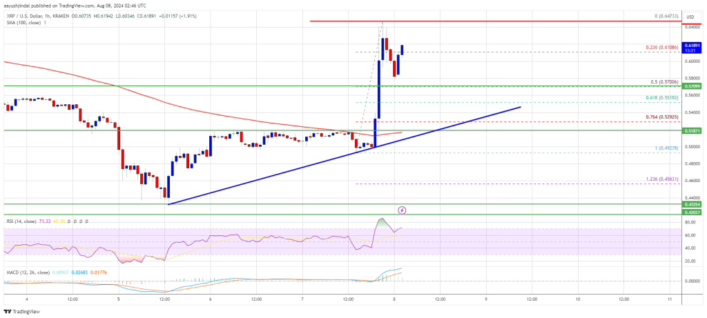 XRP価格が25％上昇：このブレイクアウトは継続できるのか？