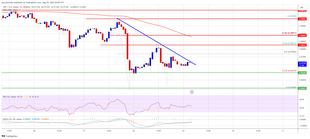 XRP-Bullen streben neue Gewinne an: Wird ihnen ein Ausbruch gelingen?