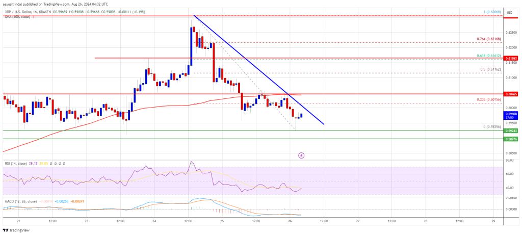 O preço do XRP enfrenta desafios: será superado e aumentado?