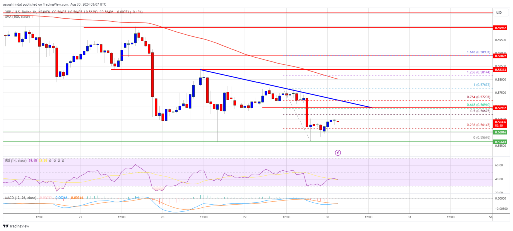 Precio de XRP atrapado en un rango estrecho: ¿se liberará?