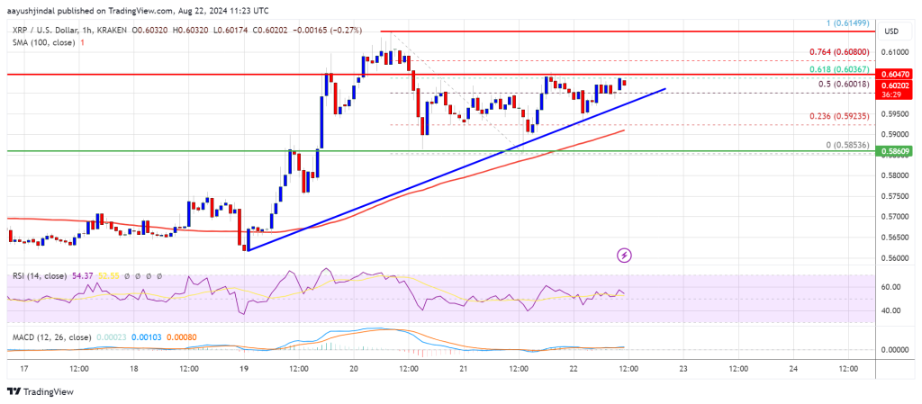 Цена XRP готова к устойчивому росту: сможет ли она сохранить восходящий тренд?