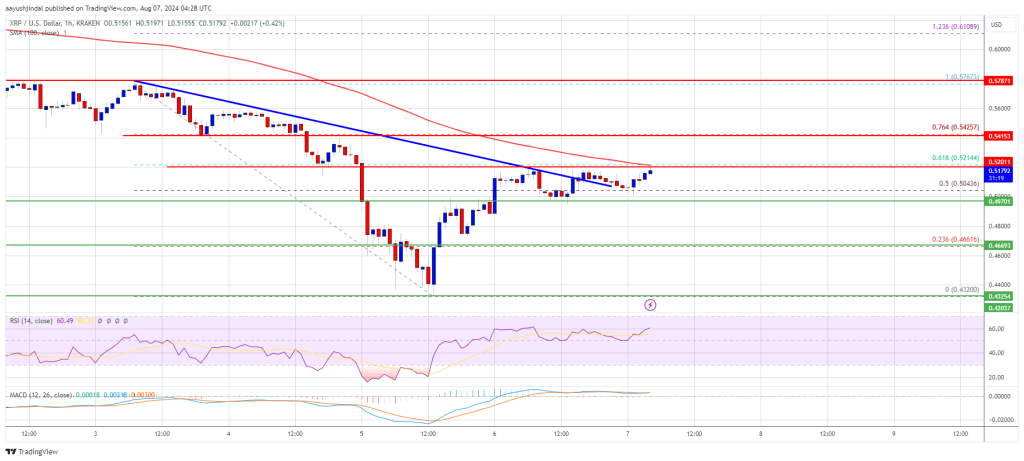 XRP Price Eyes Breakout: Will It Surge Past Resistance?