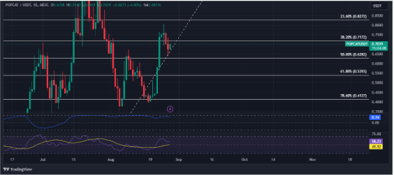 Der neue Memecoin Popcat klettert nach oben und dominiert die Top-100-Kryptowährungen mit einem Anstieg von 62 %