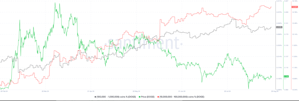 Dogecoin Rally: Mais de 70% dos detentores obtêm lucro enquanto Memecoin sobe 9%